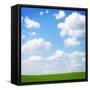 Field-null-Framed Stretched Canvas