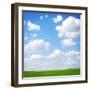 Field-null-Framed Photographic Print