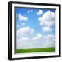 Field-null-Framed Photographic Print