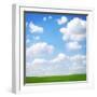 Field-null-Framed Photographic Print