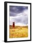 Field-null-Framed Photographic Print