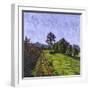 Field-Anthony Amies-Framed Giclee Print