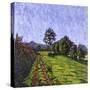 Field-Anthony Amies-Stretched Canvas