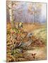 Fieldfare and Blue Tit-Carl Donner-Mounted Giclee Print