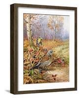 Fieldfare and Blue Tit-Carl Donner-Framed Giclee Print