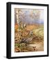 Fieldfare and Blue Tit-Carl Donner-Framed Giclee Print