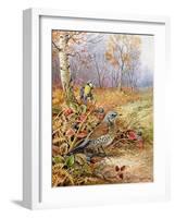 Fieldfare and Blue Tit-Carl Donner-Framed Giclee Print