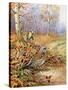 Fieldfare and Blue Tit-Carl Donner-Stretched Canvas