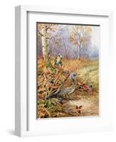 Fieldfare and Blue Tit-Carl Donner-Framed Giclee Print