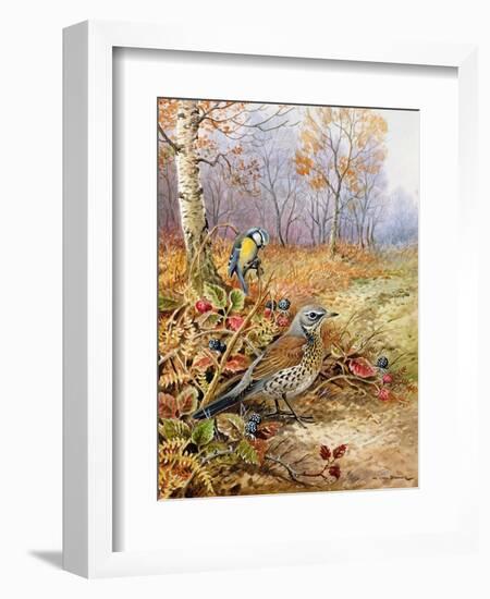 Fieldfare and Blue Tit-Carl Donner-Framed Giclee Print