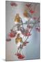 Fieldfare (Turdus Pilaris) on Fruit Tree in Snow Helsinki, Finland-Markus Varesvuo-Mounted Premium Photographic Print