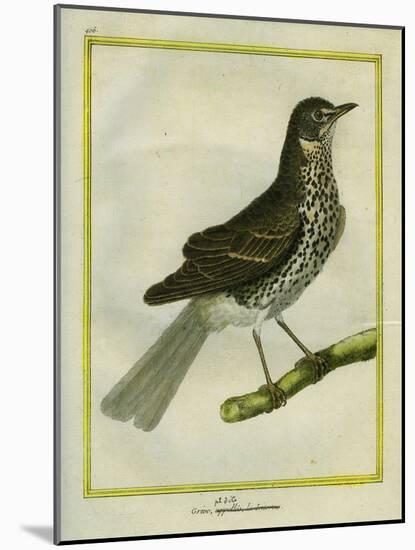 Fieldfare-Georges-Louis Buffon-Mounted Giclee Print