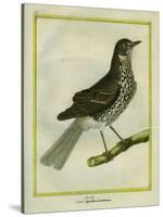 Fieldfare-Georges-Louis Buffon-Stretched Canvas