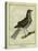 Fieldfare-Georges-Louis Buffon-Stretched Canvas