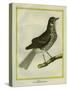 Fieldfare-Georges-Louis Buffon-Stretched Canvas