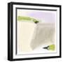 Fielding I-June Vess-Framed Art Print