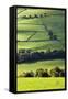 Fields and Dry Stone Walls in Nidderdale-Mark Sunderland-Framed Stretched Canvas