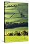 Fields and Dry Stone Walls in Nidderdale-Mark Sunderland-Stretched Canvas