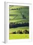 Fields and Dry Stone Walls in Nidderdale-Mark Sunderland-Framed Photographic Print