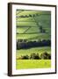 Fields and Dry Stone Walls in Nidderdale-Mark Sunderland-Framed Photographic Print