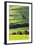 Fields and Dry Stone Walls in Nidderdale-Mark Sunderland-Framed Photographic Print