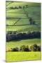 Fields and Dry Stone Walls in Nidderdale-Mark Sunderland-Mounted Photographic Print