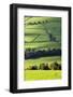 Fields and Dry Stone Walls in Nidderdale-Mark Sunderland-Framed Photographic Print