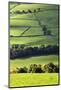 Fields and Dry Stone Walls in Nidderdale-Mark Sunderland-Mounted Photographic Print