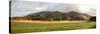 Fields and hills late afternoon sunlight, Imbabura Province, Ecuador-null-Stretched Canvas