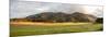 Fields and hills late afternoon sunlight, Imbabura Province, Ecuador-null-Mounted Photographic Print