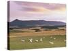 Fields and Sheep Near Oldmeldrum, Aberdeenshire, Scotland, United Kingdom, Europe-Patrick Dieudonne-Stretched Canvas