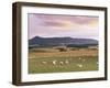 Fields and Sheep Near Oldmeldrum, Aberdeenshire, Scotland, United Kingdom, Europe-Patrick Dieudonne-Framed Photographic Print