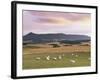 Fields and Sheep Near Oldmeldrum, Aberdeenshire, Scotland, United Kingdom, Europe-Patrick Dieudonne-Framed Photographic Print