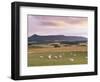 Fields and Sheep Near Oldmeldrum, Aberdeenshire, Scotland, United Kingdom, Europe-Patrick Dieudonne-Framed Photographic Print