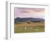 Fields and Sheep Near Oldmeldrum, Aberdeenshire, Scotland, United Kingdom, Europe-Patrick Dieudonne-Framed Photographic Print