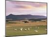 Fields and Sheep Near Oldmeldrum, Aberdeenshire, Scotland, United Kingdom, Europe-Patrick Dieudonne-Mounted Photographic Print