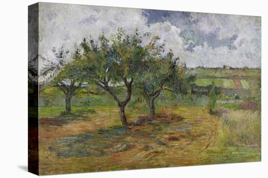 Fields and Trees, 1879-Paul Gauguin-Stretched Canvas