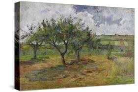 Fields and Trees, 1879-Paul Gauguin-Stretched Canvas