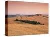 Fields at Sunset, Crete Senesi, Siena Province, Tuscany, Italy, Europe-Sergio Pitamitz-Stretched Canvas