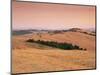 Fields at Sunset, Crete Senesi, Siena Province, Tuscany, Italy, Europe-Sergio Pitamitz-Mounted Photographic Print