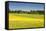 Fields at Varska, Estonia, Baltic States, Europe-Nico Tondini-Framed Stretched Canvas