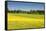 Fields at Varska, Estonia, Baltic States, Europe-Nico Tondini-Framed Stretched Canvas