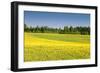 Fields at Varska, Estonia, Baltic States, Europe-Nico Tondini-Framed Photographic Print