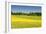 Fields at Varska, Estonia, Baltic States, Europe-Nico Tondini-Framed Photographic Print