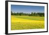 Fields at Varska, Estonia, Baltic States, Europe-Nico Tondini-Framed Photographic Print