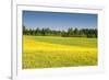 Fields at Varska, Estonia, Baltic States, Europe-Nico Tondini-Framed Photographic Print