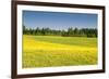 Fields at Varska, Estonia, Baltic States, Europe-Nico Tondini-Framed Photographic Print