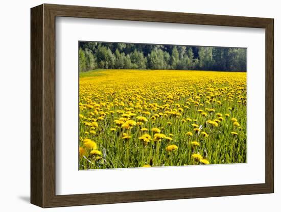 Fields at Varska, Estonia, Baltic States, Europe-Nico Tondini-Framed Photographic Print