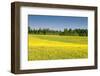 Fields at Varska, Estonia, Baltic States, Europe-Nico Tondini-Framed Premium Photographic Print