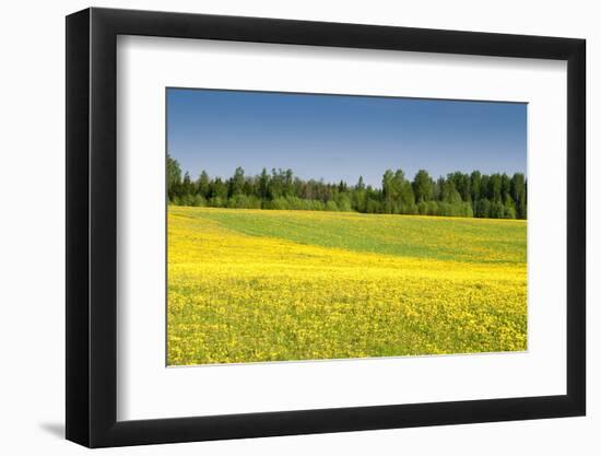 Fields at Varska, Estonia, Baltic States, Europe-Nico Tondini-Framed Premium Photographic Print